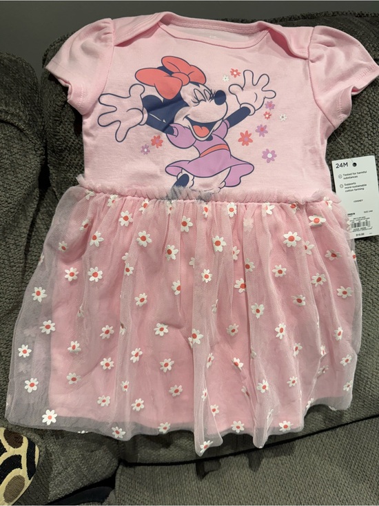 Disney Jumping Beans Other - 24 Month Minnie Mouse Pink Tulle Dress - Floral Appliqué